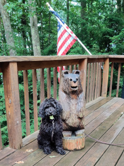 Stella sitting next to a bear