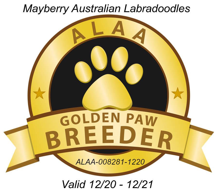 ALAA Golden Paw award