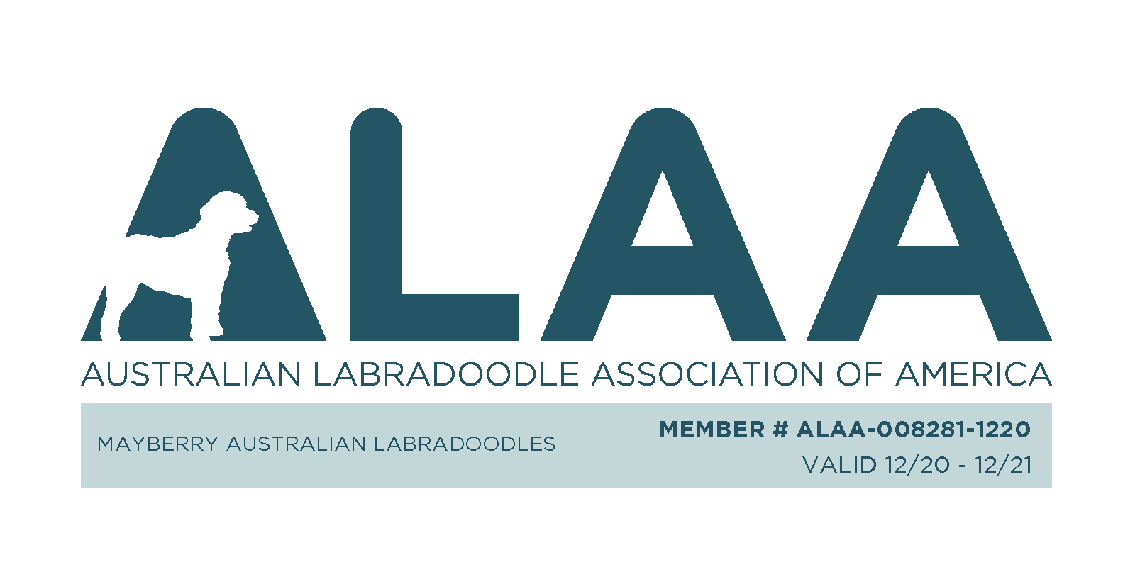 ALAA New Logo 2020